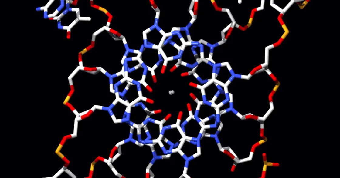 Foto zum Beitrag „Epithalon“ (Peptidchemie & Qualität)