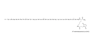 Struktur/Schema zum Beitrag „CJC-1295: Wirkung, DAC vs. ohne DAC & Forschung“ (GH-Achse & Sekretagoga)