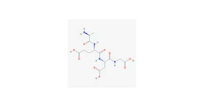 Struktur/Schema zum Beitrag „GLOW Peptid-Blend (GHK-Cu + Epithalon): Zusammensetzung und Forschung im Überblick“ (Kupferpeptide)