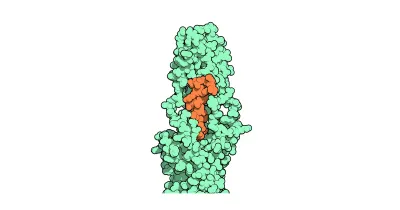Struktur/Schema zum Beitrag „Inkretin-Forschung: GLP-1-, GIP-, Glucagon- und Amylin-Rezeptoren“ (Inkretine & Stoffwechsel)