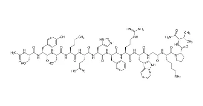 Struktur/Schema zum Beitrag „Melanotan 1 (Afamelanotide): MC1R-Agonist und Melanogenese im Forschungsüberblick“ (Melanocortin-Rezeptoren)