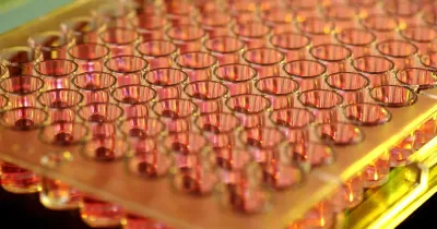 Foto zum Beitrag „Peptide kaufen in Deutschland: Worauf Forscher achten sollten“ (Rechtsrahmen & Research Use Only)