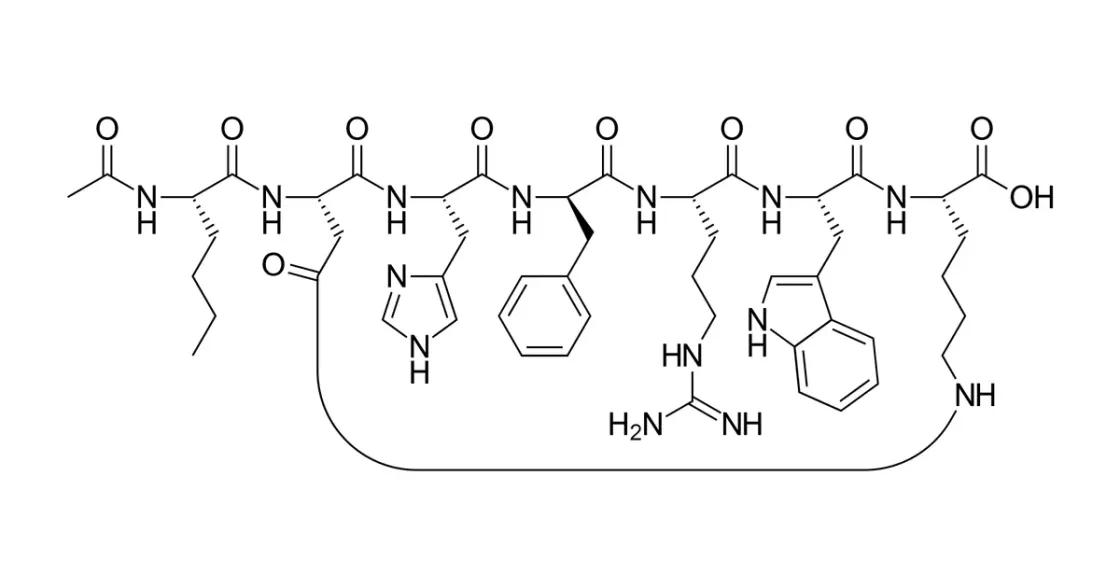 Struktur/Schema zum Beitrag „PT-141 (Bremelanotide): Wirkung & Forschungsstand“ (Melanocortin-Rezeptoren)