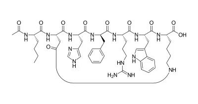 Struktur/Schema zum Beitrag „PT-141 (Bremelanotide): Wirkung & Forschungsstand“ (Melanocortin-Rezeptoren)