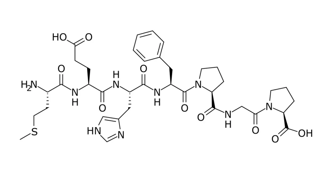 Struktur/Schema zum Beitrag „Semax: Wirkung, Wirkmechanismus & Forschung“ (Neuropeptide)