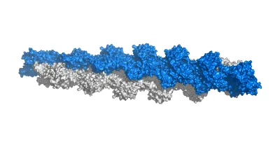 Struktur/Schema zum Beitrag „TB-500 Wirkung: Thymosin Beta-4 Fragment in der Regenerationsforschung“ (Gewebe & Regeneration)